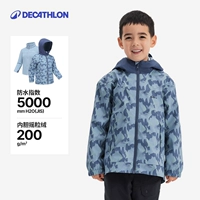 Звездный синий