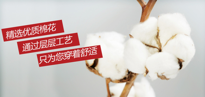 Chaussettes - collants DECATHLON 8231904-ne - Ref 779359 Image 28