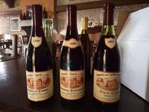 The winery directly selects the old part of Burgundy Santenay premier cru 1998 Domaine Ch