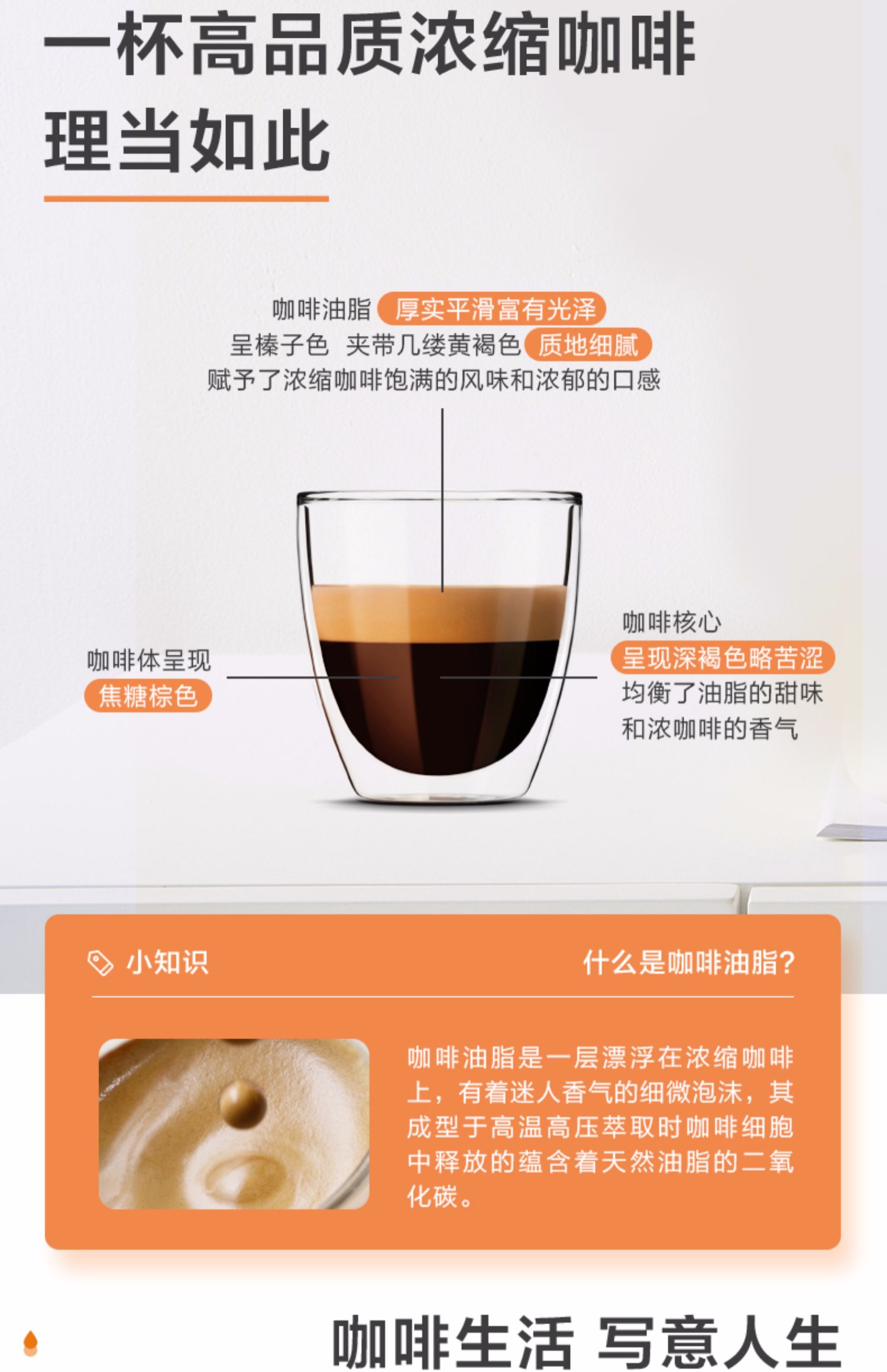 máy pha cafe Máy pha cà phê Philips EP5310 Máy xay cà phê tự động / thương mại nhập khẩu châu Âu - Máy pha cà phê máy xay cà phê robust