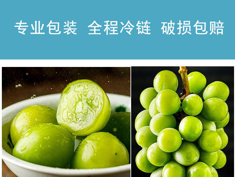 Японский зеленый виноград_11.jpg