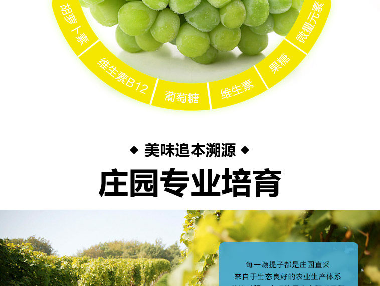 Японский зеленый виноград_09.jpg