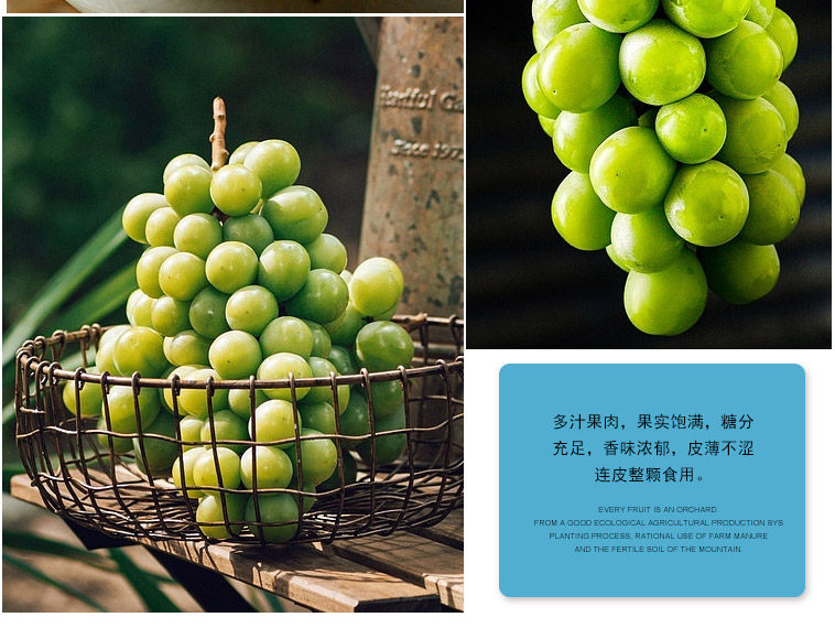 Японский зеленый виноград_12.jpg