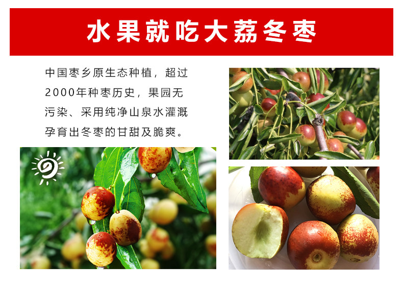 Зимний jujube_04.jpg