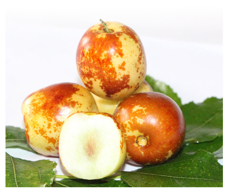 Зимний jujube_08.jpg