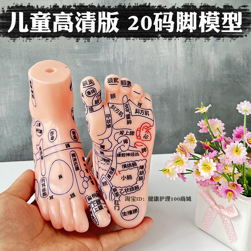 儿童脚丫穴位模型 高清大字足部穴位模型 按摩足反射区脚模型家用