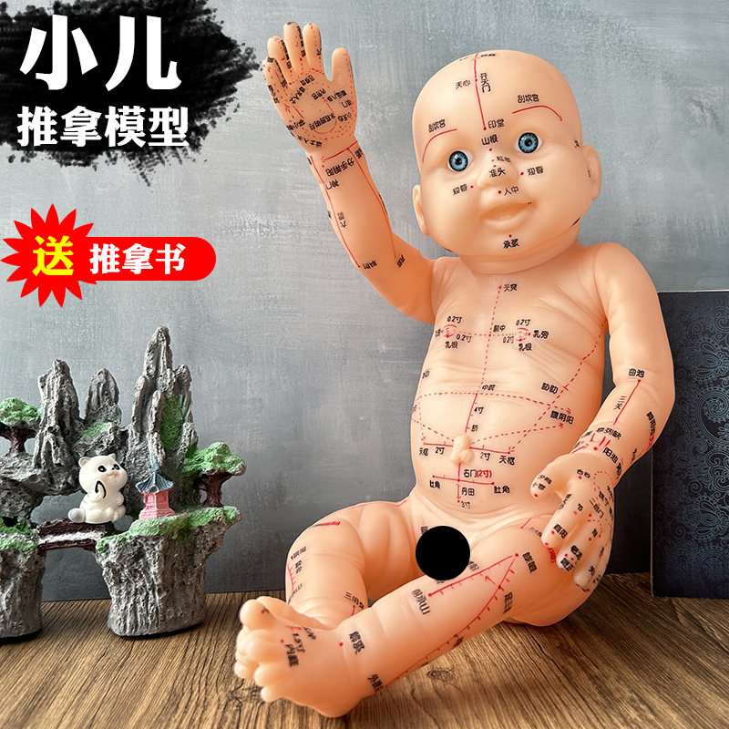 小儿推拿穴位模型 宝宝推拿模型 婴儿娃娃教学推拿模型 培训娃娃