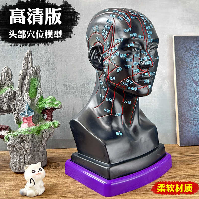 人体头部模型 高清版针灸头部穴位模型 头模型柔软可扎针教学模具