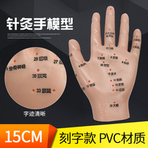 Hand model Hand acupoint model Acupuncture massage acupoint model High-definition lettering Hand reflex zone model