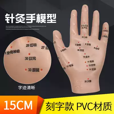 Hand model Hand acupoint model Acupuncture massage acupoint model High definition lettering hand reflection zone model