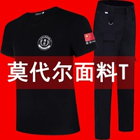 Модальная безопасность T -Fore+Special War Lummer Banns