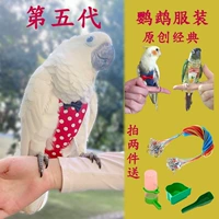 Разнообразие домашнее животное припаркованное попугая