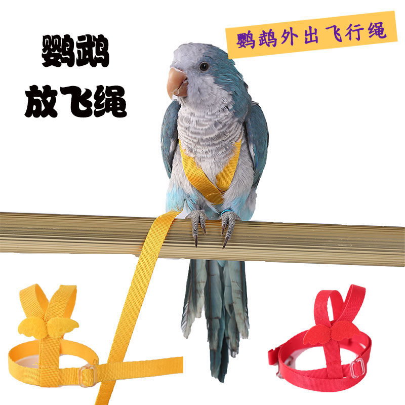 Parrot bird release rope Xuanfeng peony tiger skin flying harness tow bird walking rope outdoors training rope supplies