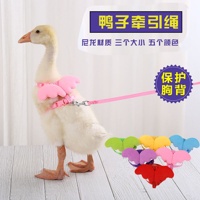 100 Change Darlings for Duck Rope Walking the catwalk Cat Rope Pet Supplies Nets Red Kohl Duck Utensils Chest baby bags Type of traction rope