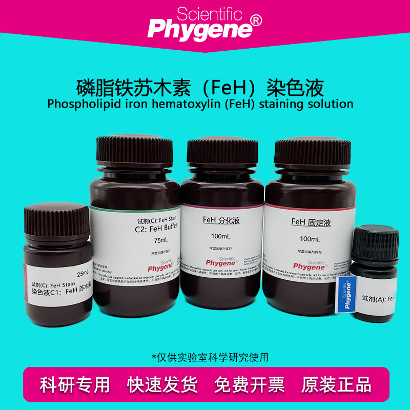 磷脂铁苏木素染色液 (FeH) 3&times;100mL 科研实验 [PH1217 PHYGENE]
