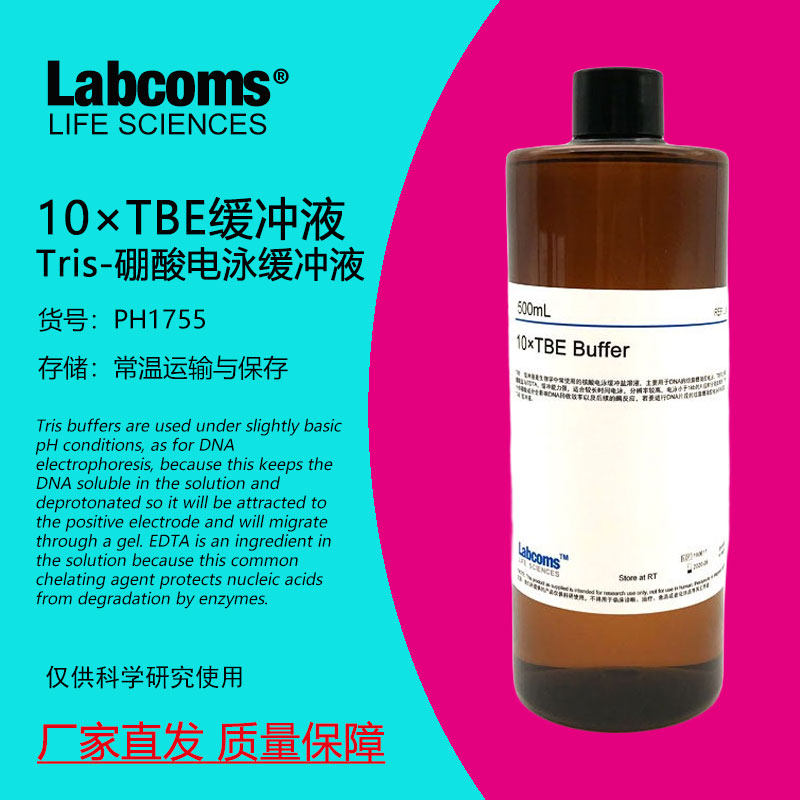 Tris电泳缓冲液 5&times;TBE 10&times;TBE实验专用 TBE溶液 核酸实验 500mL