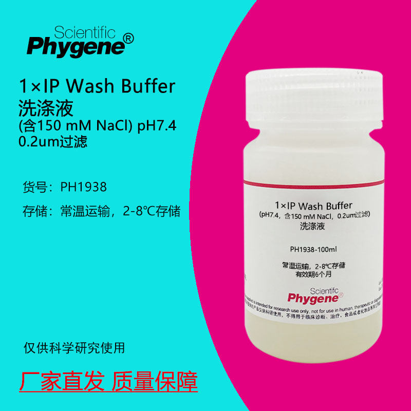 1&times;IP Wash Buffer洗涤液 (含150 mM NaCl) 100mL 免疫沉淀实验