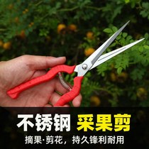 Gardening pruning branches fruit cutting pepper cutting Chinese pepper picking tools fruit and vegetable scissors flower scissors