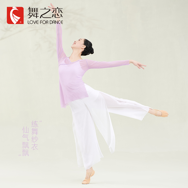 Dance Love Chinese Dance Training Costume Fall Fairy Sleeve Ancient Culture Costume Woman Classical Dance Dress