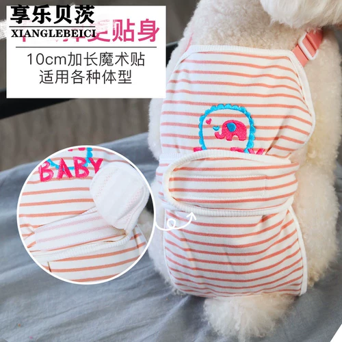 Batterfuni Физиологические штаны Тедди Шерина Кение Мужская собака тетя