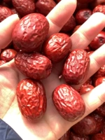 Синьцзян Серый Джуджба 2023 Новый Jujube и другие старые деревья и красная группа Juceub