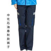 Цветные осенние антистатические штаны