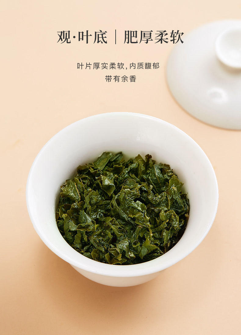 买1送1春茶铁观音茶叶礼盒装共2盒500g