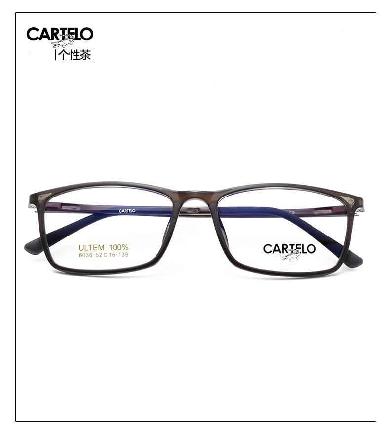 Montures de lunettes CARTELO      en Memoire plastique - Ref 3141203 Image 27