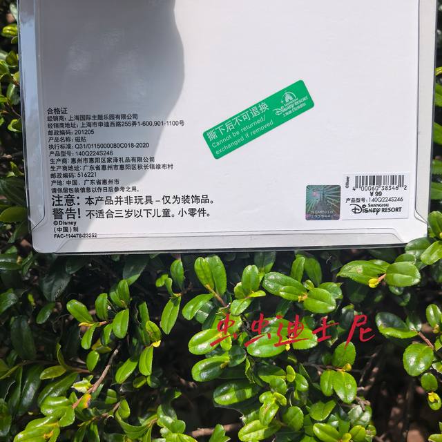 Shanghai Disneyland Domestic Purchasing Agent: Donald Duck and Daisy Duck 3D Refrigerator Magnets