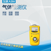 Canada BW GAXT Gas Detector Carbon Monoxide Oxygen Ozone Sulfide Hydrogen Gas Detector
