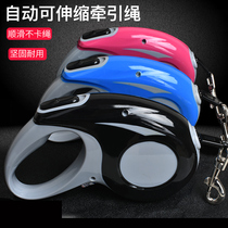 Dog traction rope Automatic retractable Golden retriever Teddy Husky Corgi large medium and small dog chain Dog walking rope