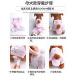 Физиологичные штаны, салфетки, безопасное нижнее белье