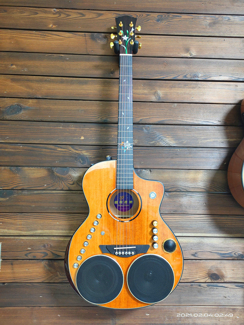 Singing Guitar Electronic Instruments Outdoor Live theorist aesthetically light and handy to carry-Taobao