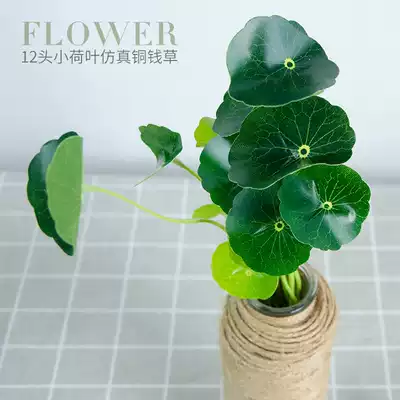 Copper money grass simulation flower small lotus leaf indoor green plant fake flower money grass living room dining table flower decoration bouquet decoration