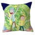 Morty Rick và Rick và Morty xung quanh gối sốt Chuanxiang để lên bản đồ cho đệm anime tùy chỉnh HM - Carton / Hoạt hình liên quan