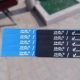 Рыбы черные 5+ синий 5