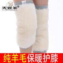 Paste maternal confinement cashmere knee pads for the elderly special four seasons sheepskin womens autumn socks protect joints plus