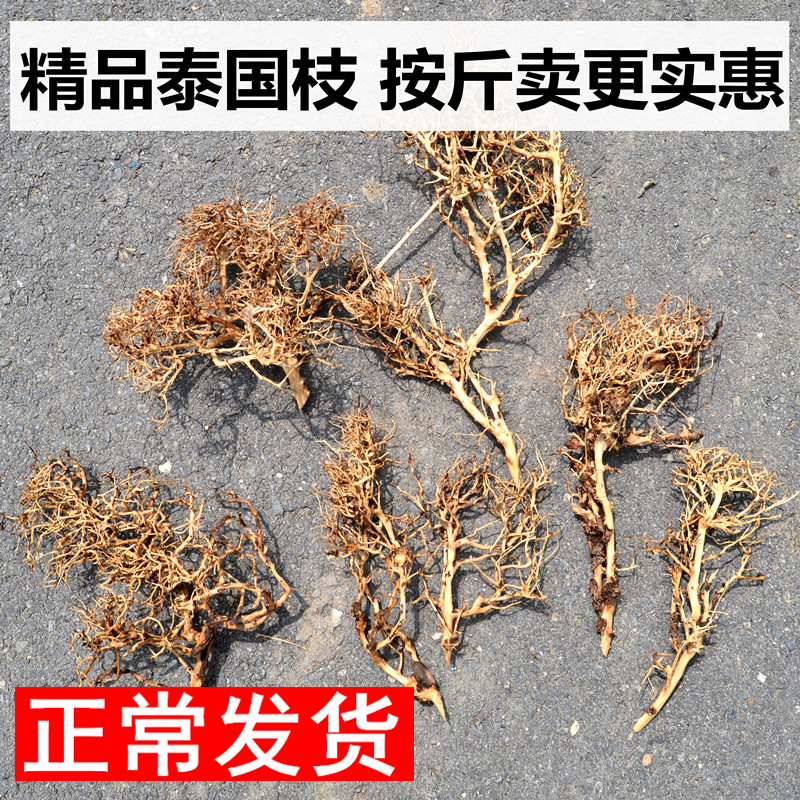 Thai Branches for Aquarium Landscaping, South American Tank, Brazilian Moss Tree, Grass Tank Landscaping, Driftwood, Rhododendron Roots by the Pound, Thin Branches, Sand Table Thai Branches for Aquarium Landscaping, South American Tank, Brazilian Moss Tree, Grass Tank Landscaping, Driftwood, Rhododendron Roots by the Pound, Thin Branches, Sand Table