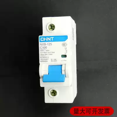 Zhengtai 100A air-on air switch miniature circuit breaker NXB125 single AC 220V switch