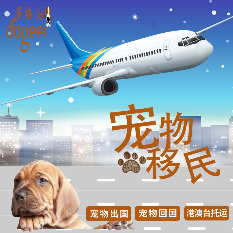 International pet consignment for dogs, cats, prepayment, pet entry and exit