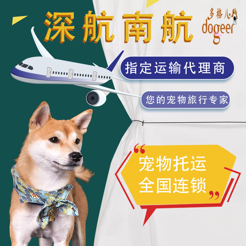 Random pet consignment from Shenzhen to Guangzhou to the whole country Dogs and cats luggage check-in procedures (including quarantine)
