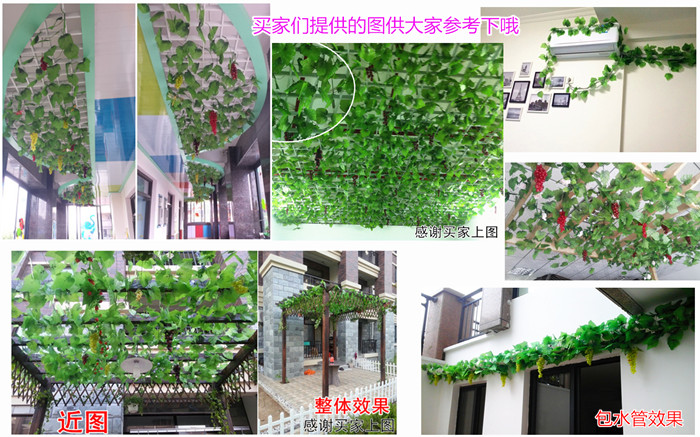 Mô phỏng cây nho lá nho hoa giả hoa màu xanh lá cây trần nhà tường xanh ống nước trang trí treo vướng víu - Hoa nhân tạo / Cây / Trái cây hoa nhựa treo tường