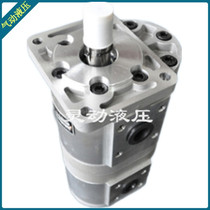 Double gear oil pump CBNL-F546-F510-BF** Anti-seismic gear pump CBNL-F550 F510-BF**