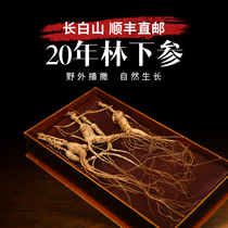 Ginseng Changbai Mountain understory 20-year-old Northeastern Jilin wild ginseng gift box soup and wine pruned wild dry goods