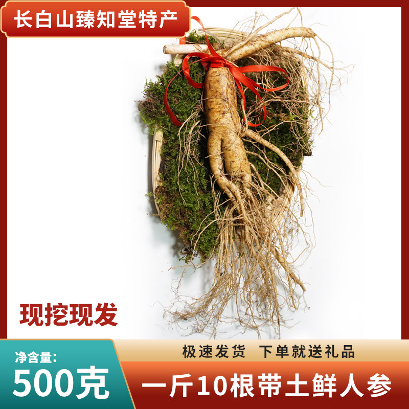 Fresh ginseng fresh Northeast specialty Changbai Mountain whole big ginseng soaked in wine and soup gift box half a catty of big ginseng first dig with soil
