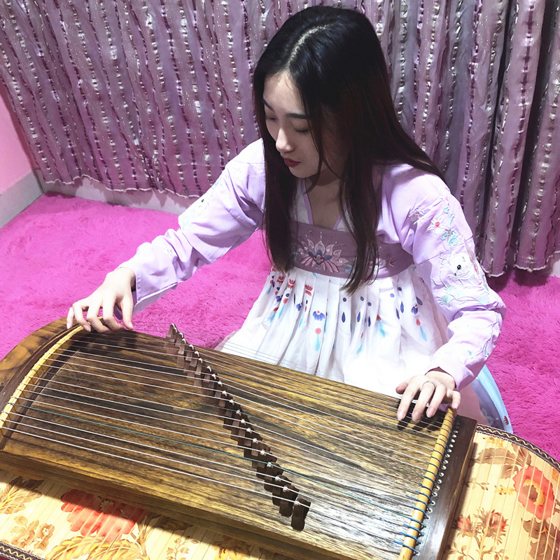 Small guzheng beginners portable half zheng adult children beginners entry digging and playing test practice finger instrument