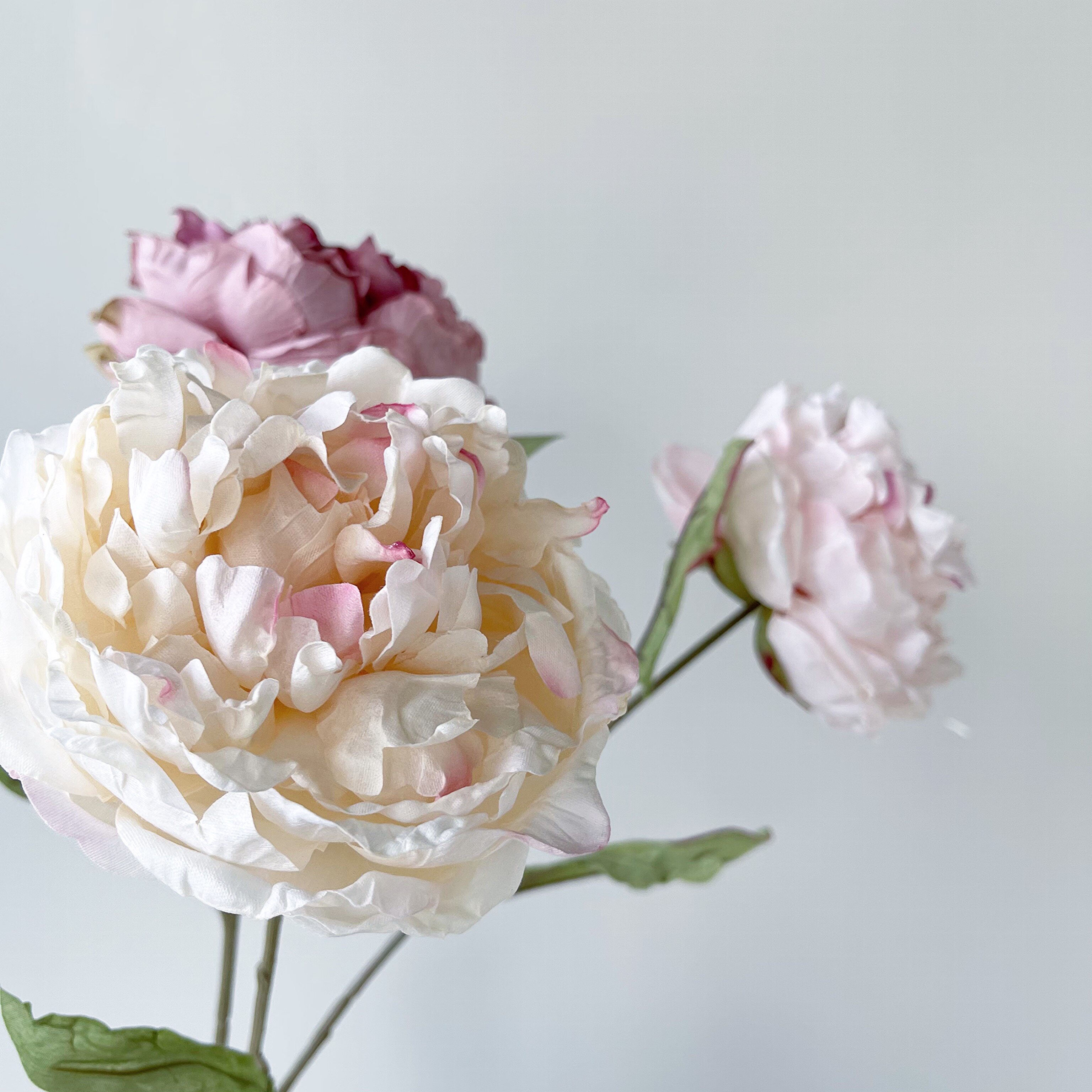 JUNJUN simulation flower dry flower peony single high-quality silk flower soft-covered floral green plant decorative simulation flower