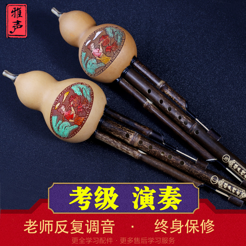 Yunnan three-tone gourd silk musical instrument beginner professional performance type adult B-down student C-tune GF Drop-proof removable