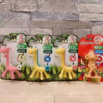 (Domestic Spot) Snow State sauce KJC Japan native giraffe bite gel tooth rubber grindle toy can be boiled