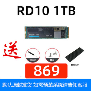 看图惊喜】铠侠 RC10 ssd 500G 1TB 1T 固态硬盘 M.2 RD10 RD20